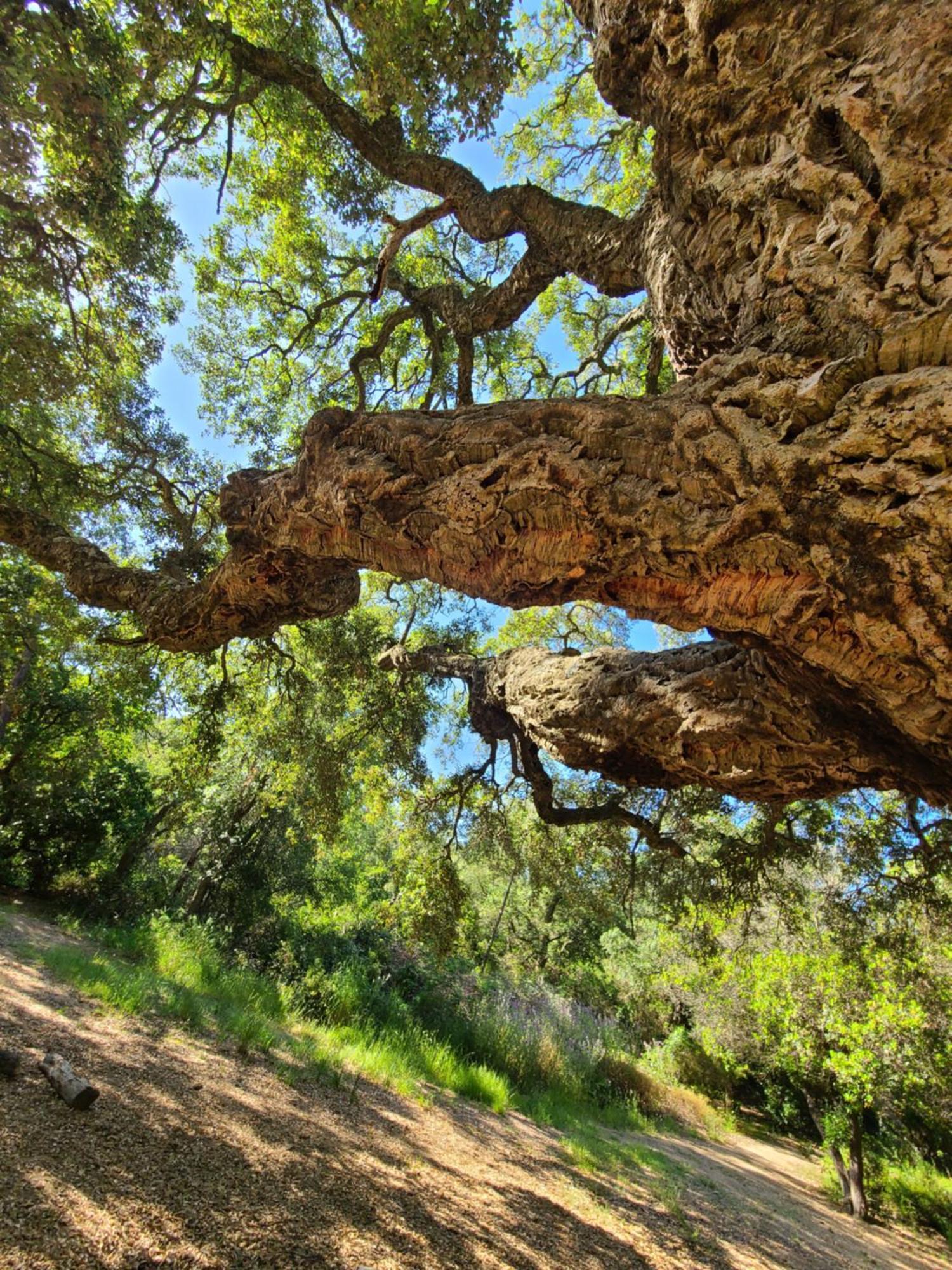 Saint-Raphaël Evasion Nature A Cap Esterel Jardin, Mer & Golf Tout Confort מראה חיצוני תמונה